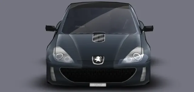 2004 peugeot 970 Livery
