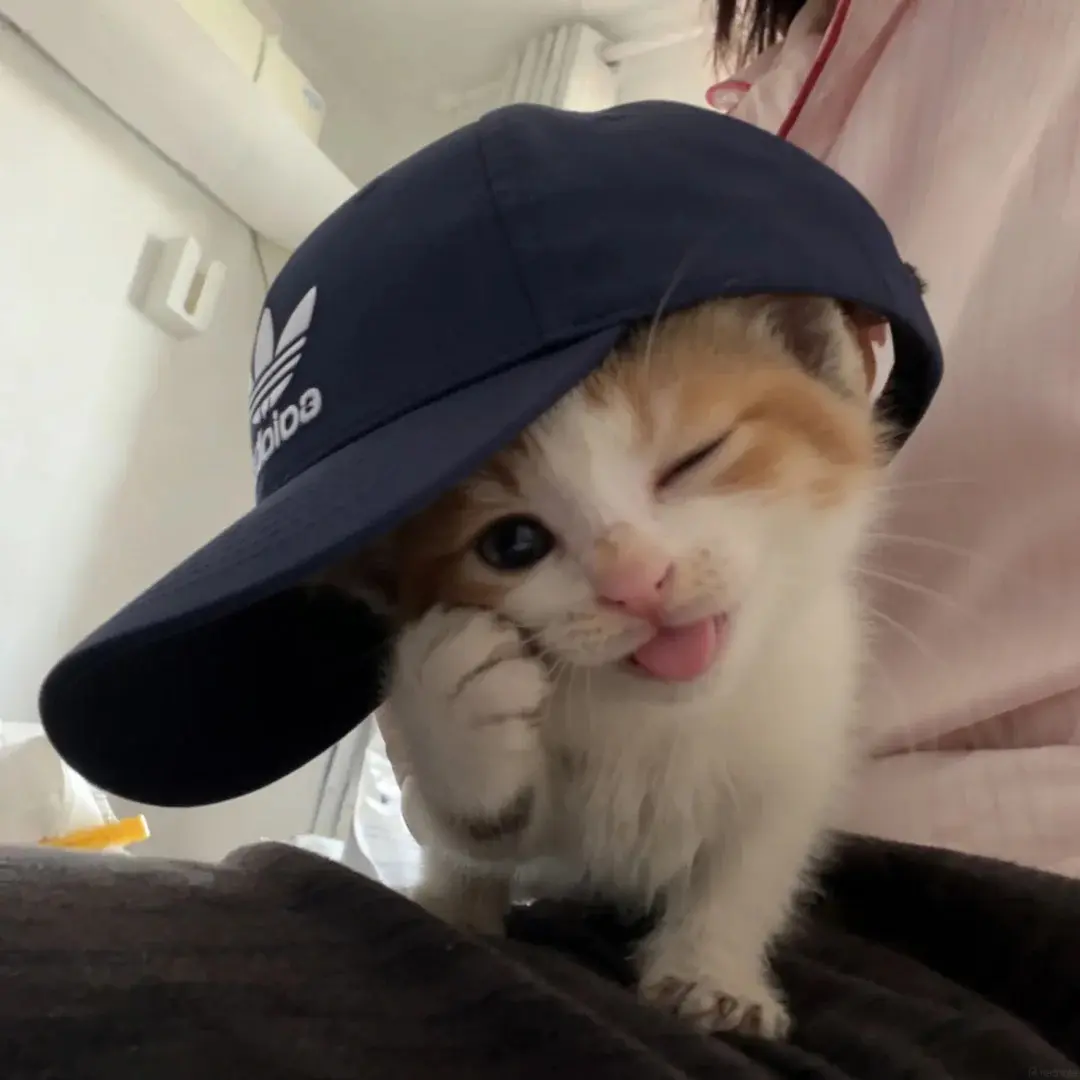 CapyCC