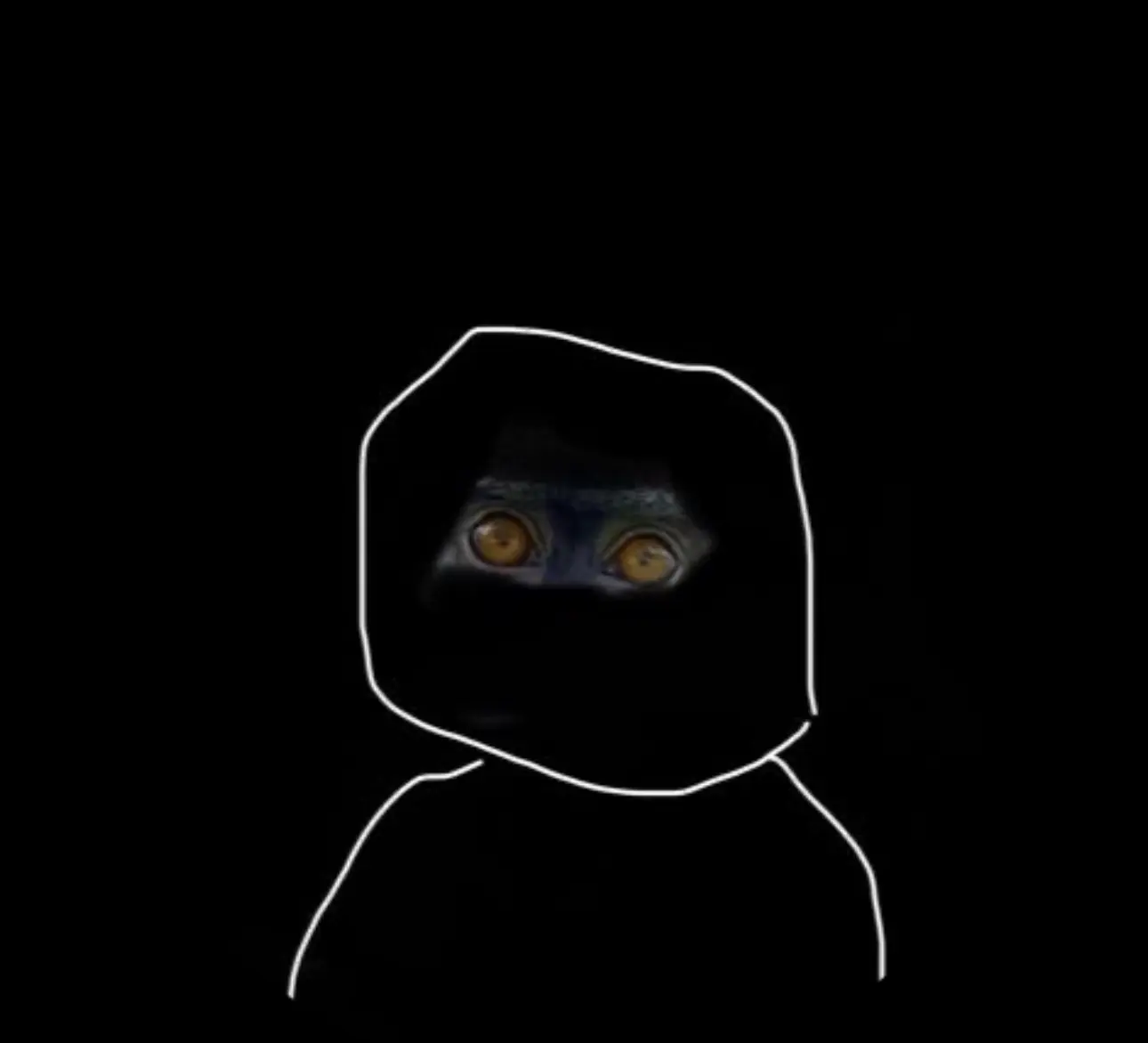 Mr P