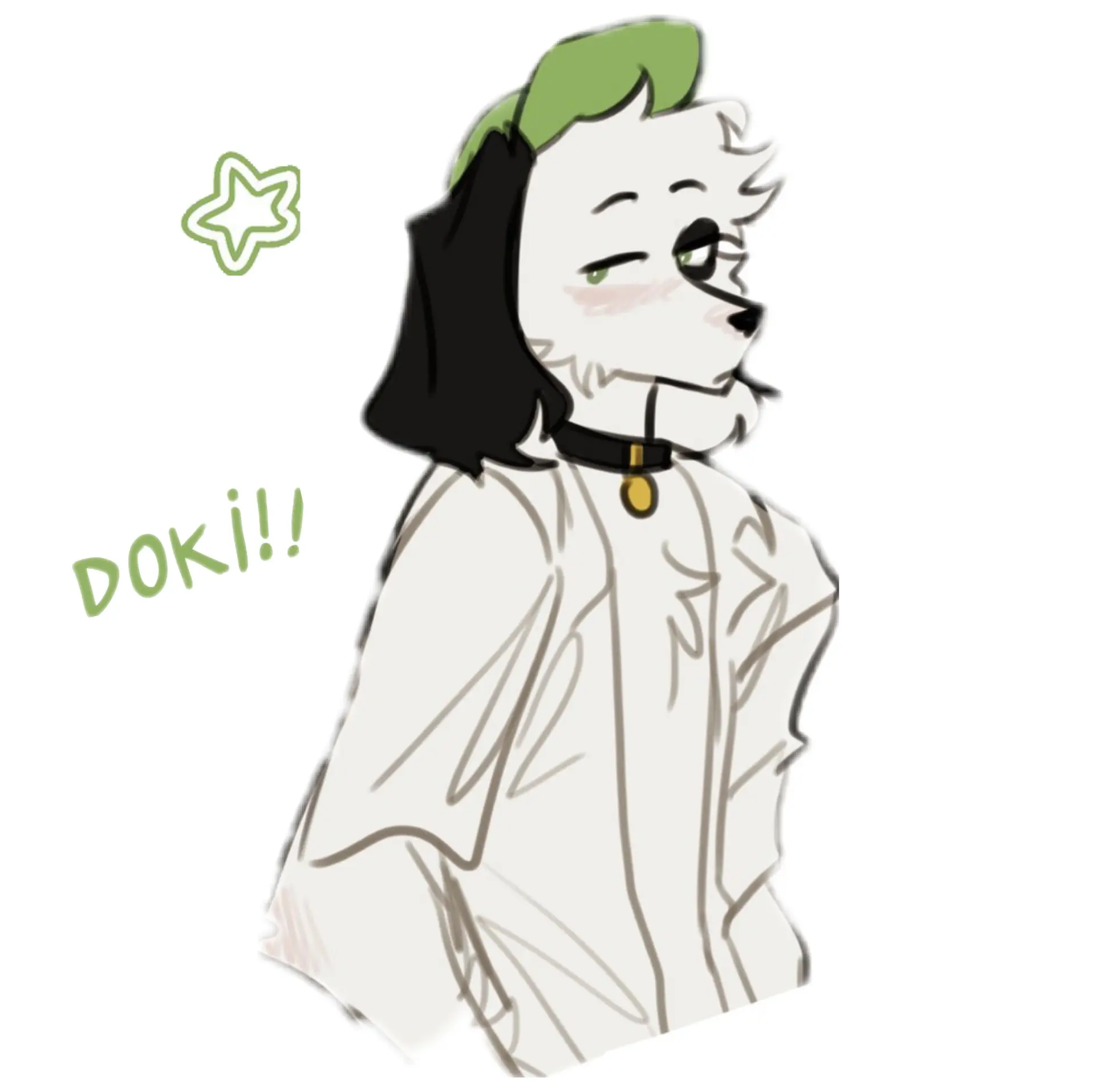 Doki TOCH
