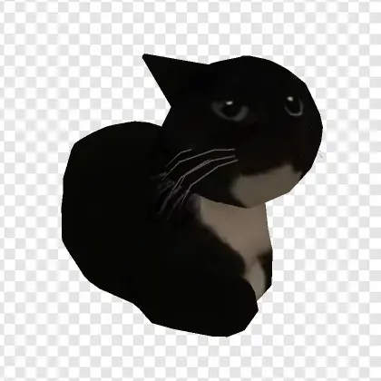 Dumbmaxxwell