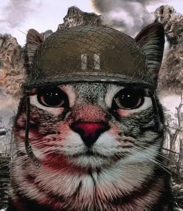 ᴍᴀᴛɪᴀsxᴅ